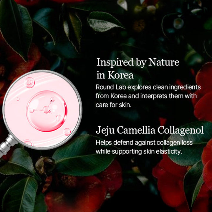 Camellia Deep Collagen Milky PDRN Toner - GLAM MODA