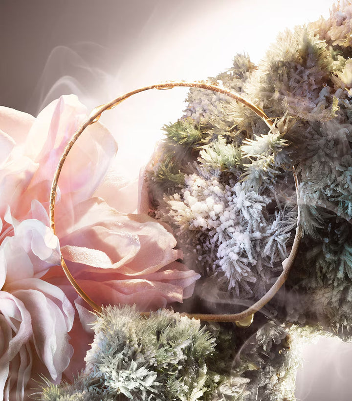 Absolue Not Your Rose Eau de Parfum - GLAM MODA