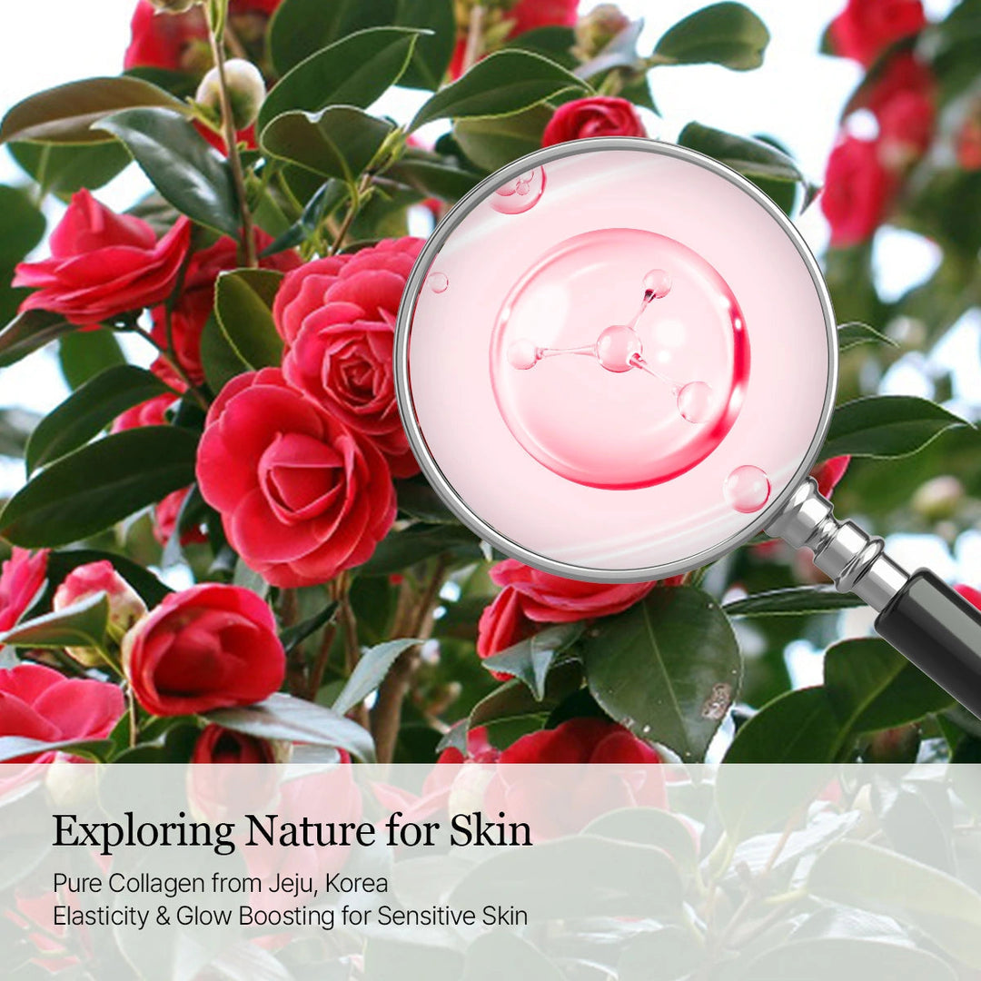 Camellia Deep Collagen Milky PDRN Toner - GLAM MODA
