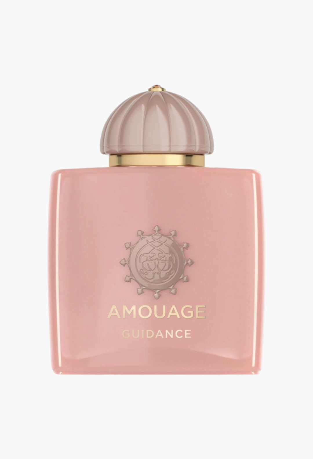 Amouage Guidance