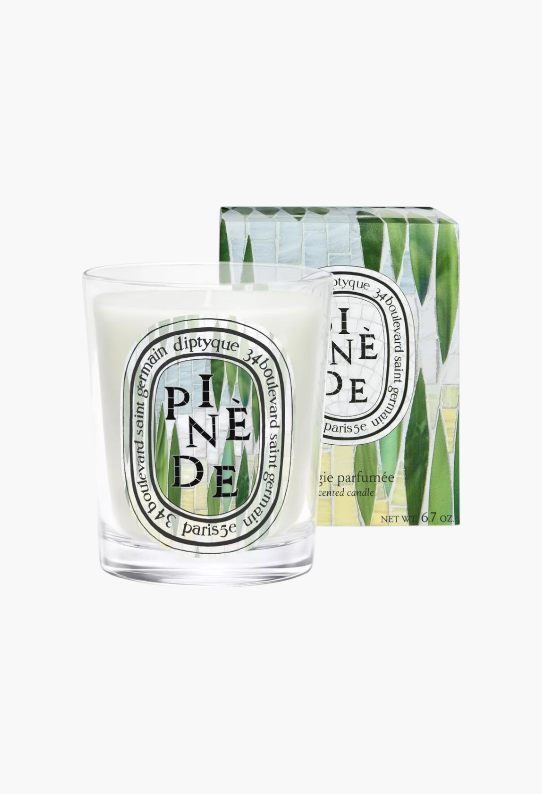 GLAM MODA Pinède scented candle in a clear glass vessel with a matching decorative box featuring green leaf patterns.