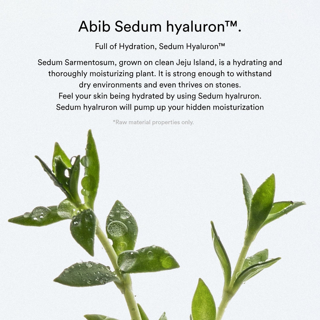 Sedum Hyaluron Cream Hydrating Pot
