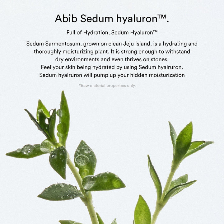 Sedum Hyaluron Cream Hydrating Pot