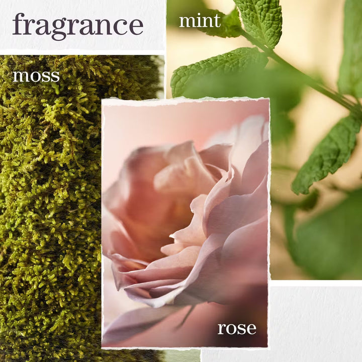 水潤清透護髮乳