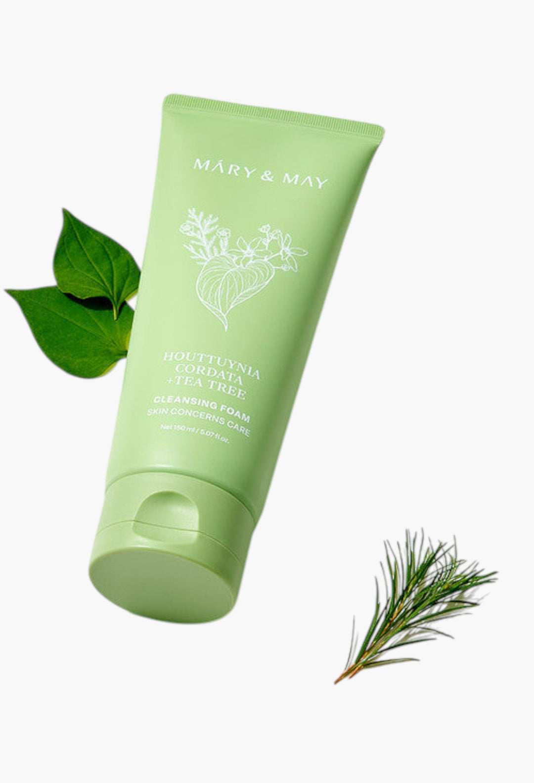 Houttuynia Cordata+Tea Tree Cleansing Foam