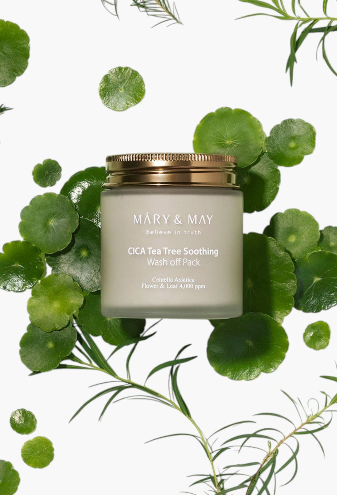 Vegan CICA TeaTree Soothing Wash off Pack