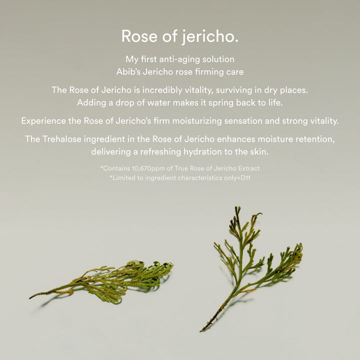 Jericho Rose Non-Animal Collagen Pad Firming Touch