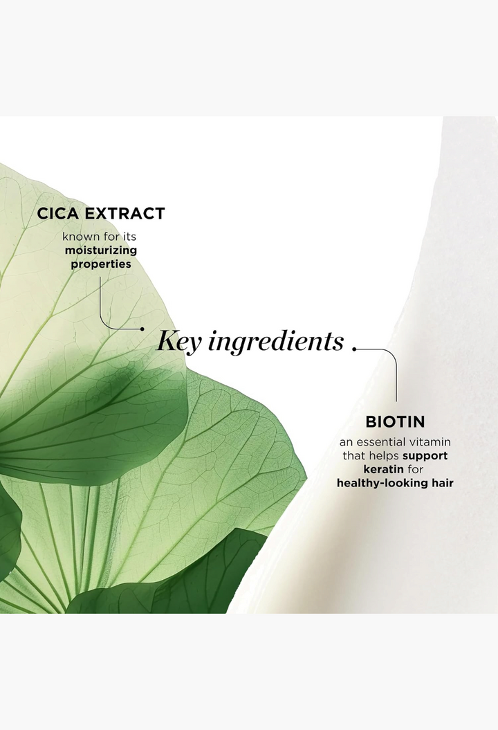 Dr. Groot Scalp Revitalizing Shampoo with Biotin, Centella, and Prebiotics - Moisturizing Korean Kbeauty Solution for Dry Scalp