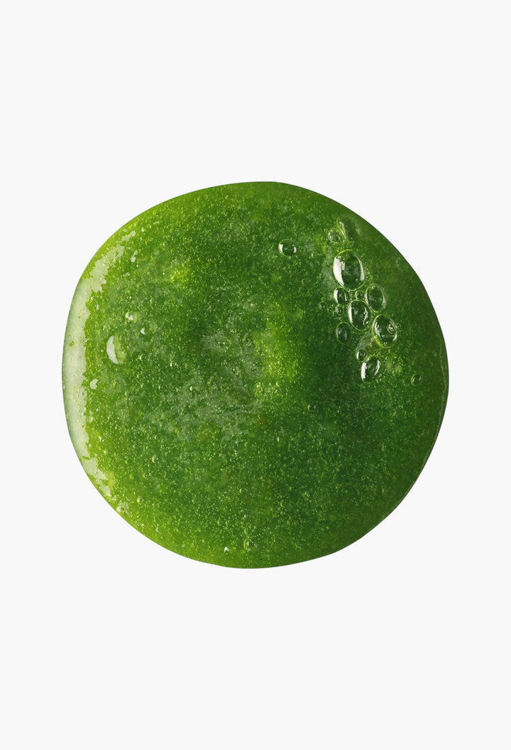 Wasabi Shan Kui – Shampoo Spicy stimulation - GLAM MODA