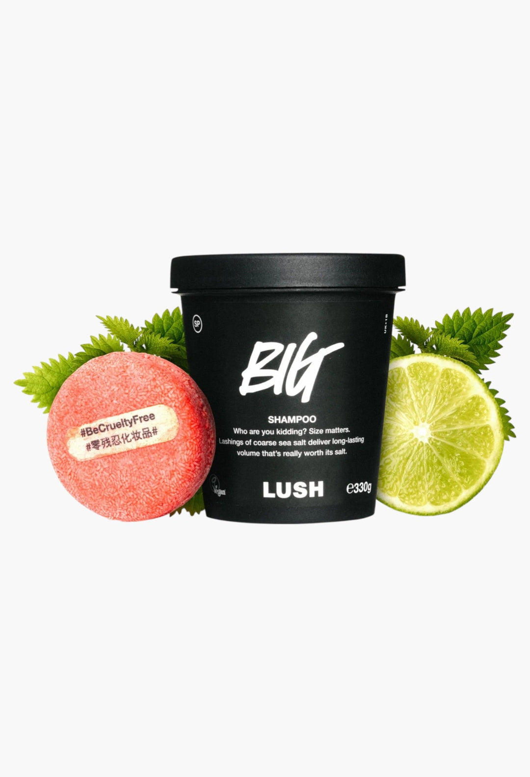 Big – Shampoo Volume And Shine For Flat Hair - GLAM MODA