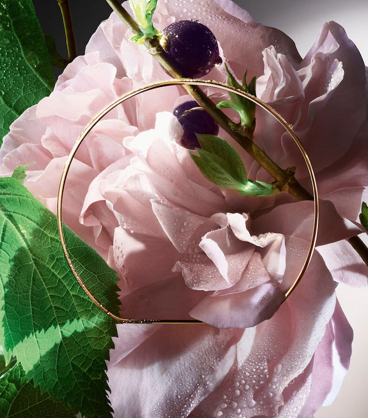 Absolue Storm & Roses Eau de Parfum - GLAM MODA