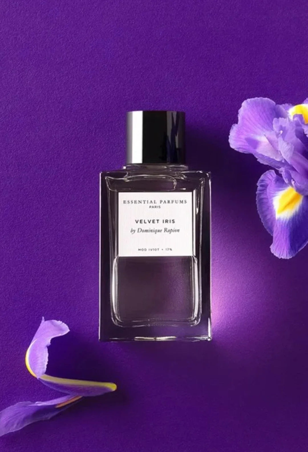 Velvet Iris