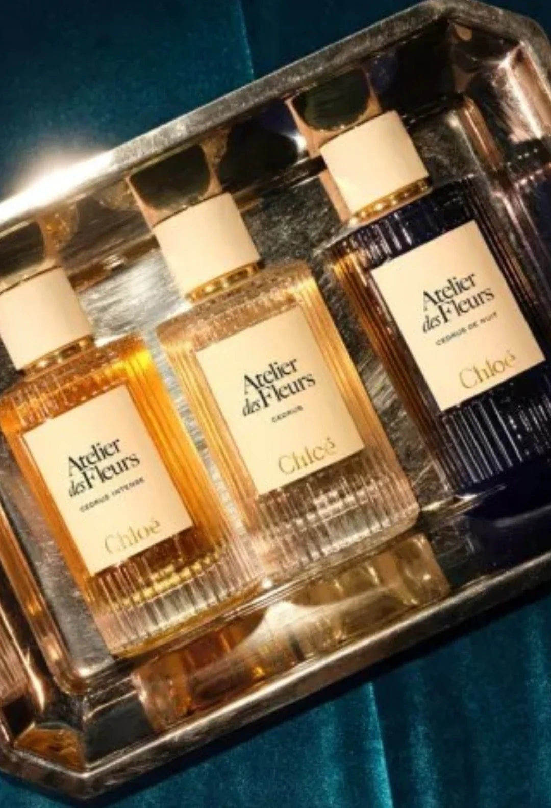 Atelier des Fleurs Cedrus de Nuit Eau de Parfum