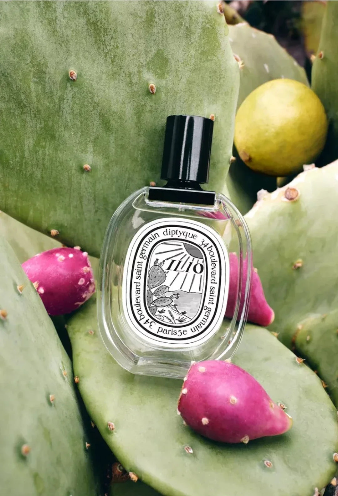 Ilio Eau de Toilette