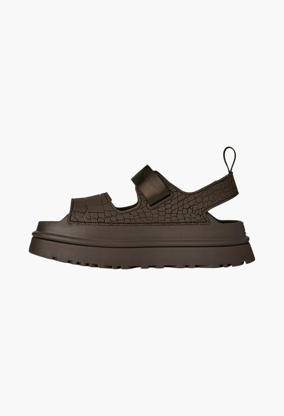 Women's GoldenGlow Embossed - GLAM MODA