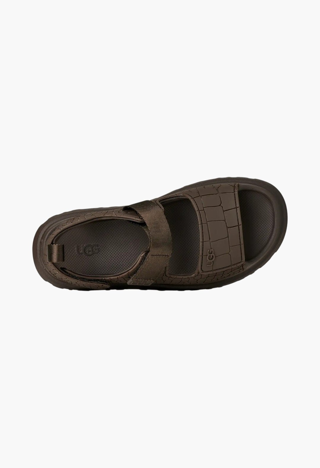 Women's GoldenGlow Embossed - GLAM MODA