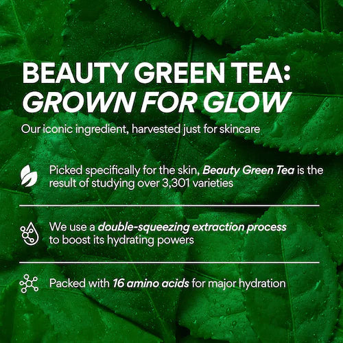Green Tea Seed Hyaluronic Acid Hydrating Cream - GLAM MODA
