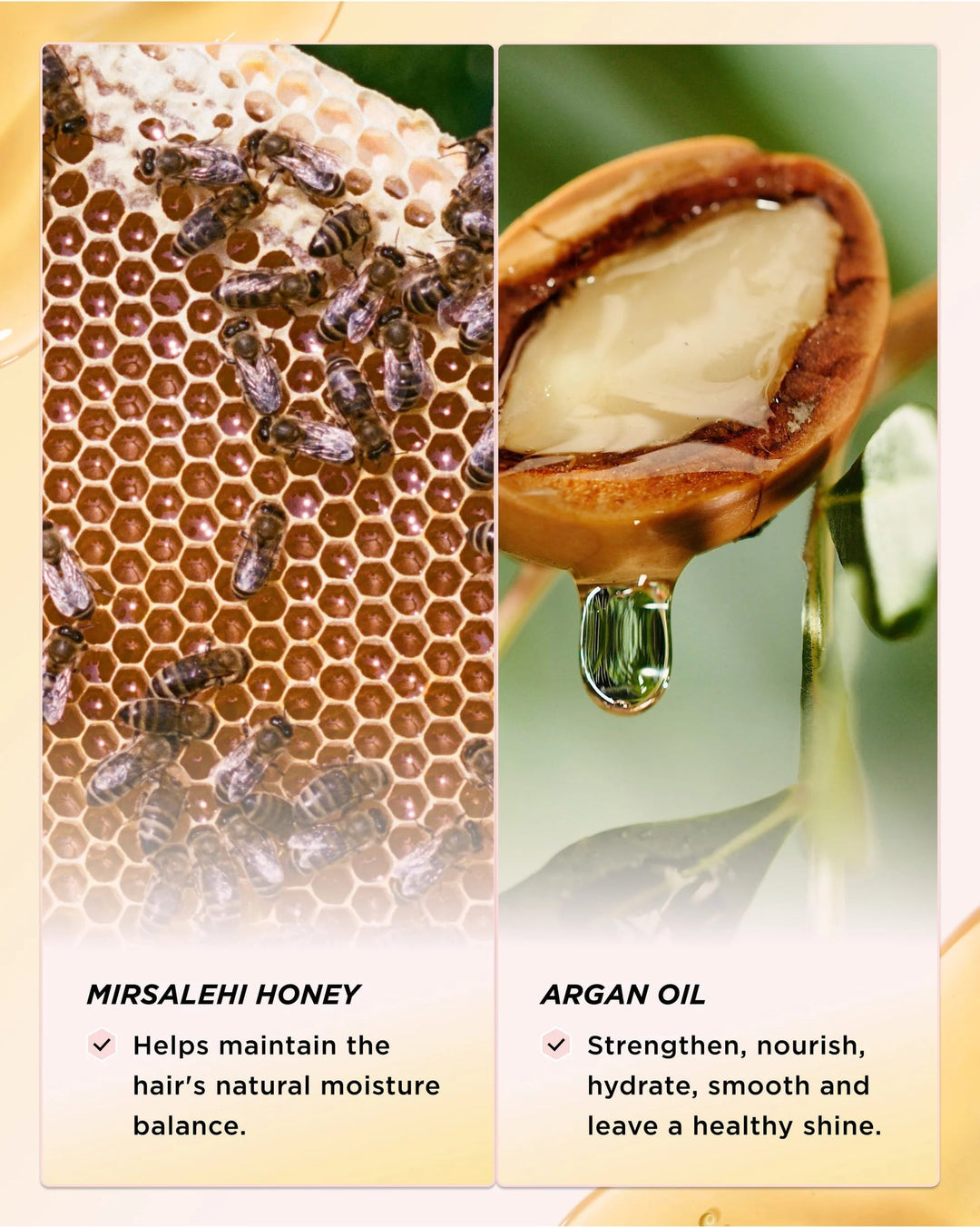 Honey Infused Hair Perfume - Wildflower Honey - GLAM MODA