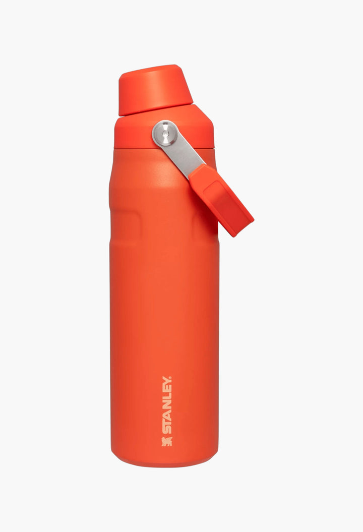 IceFlow™ Bottle with Fast Flow Lid | 24 OZ - GLAM MODA