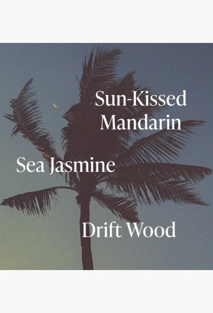 Driftwood Trio