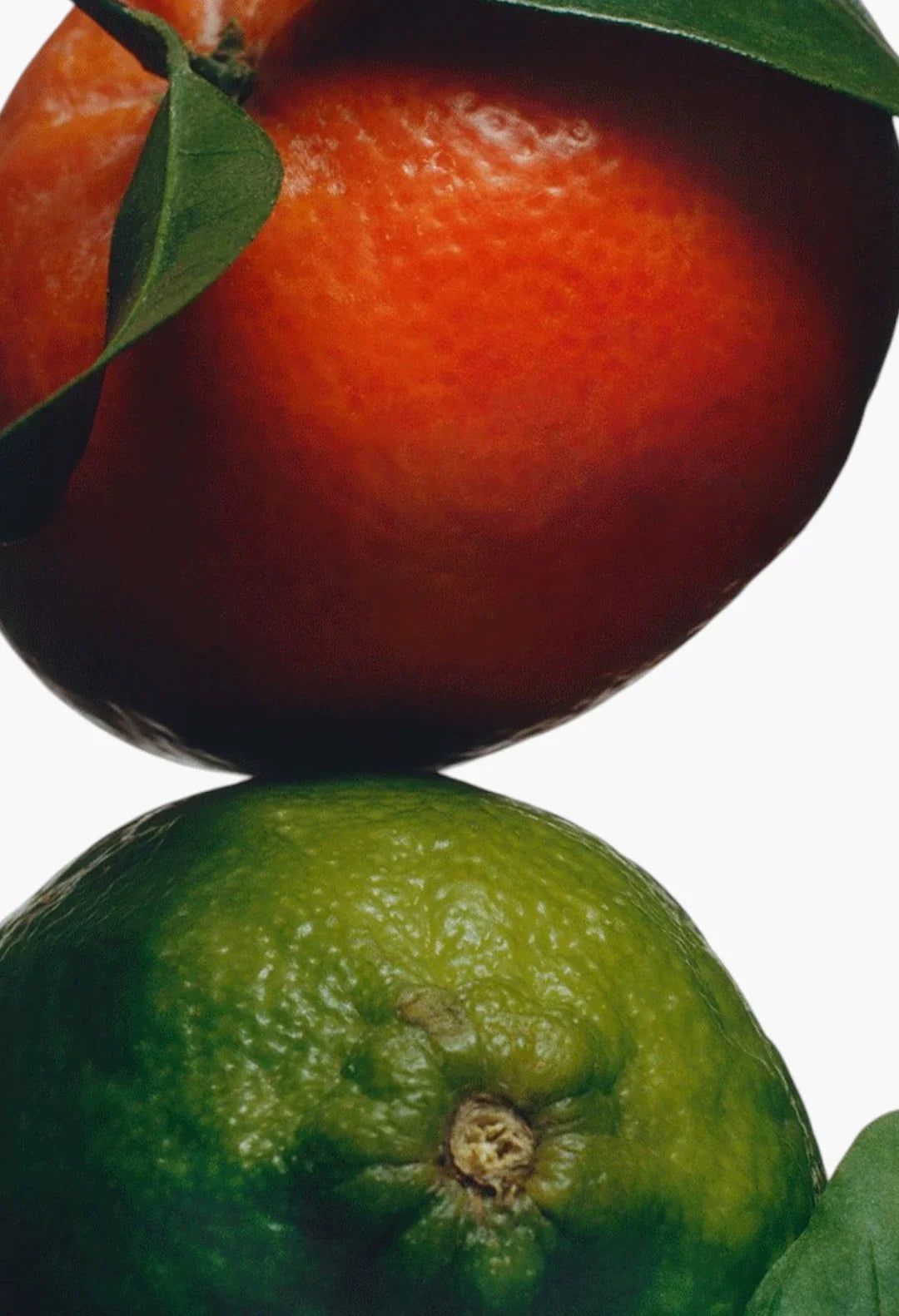 Lime Basil & Mandarin Cologne