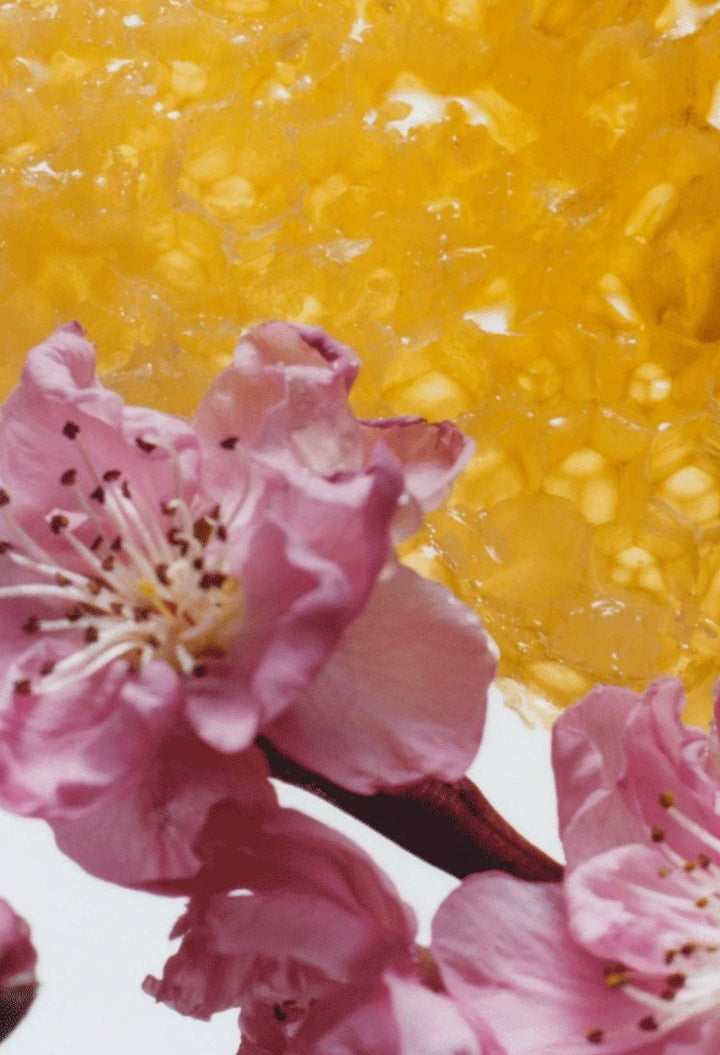 Nectarine Blossom & Honey Cologne