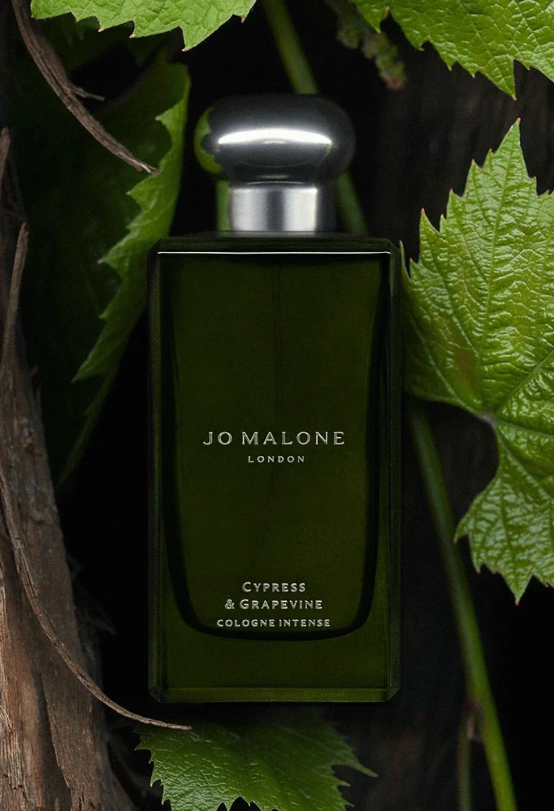 Cypress & Grapevine Cologne Intense