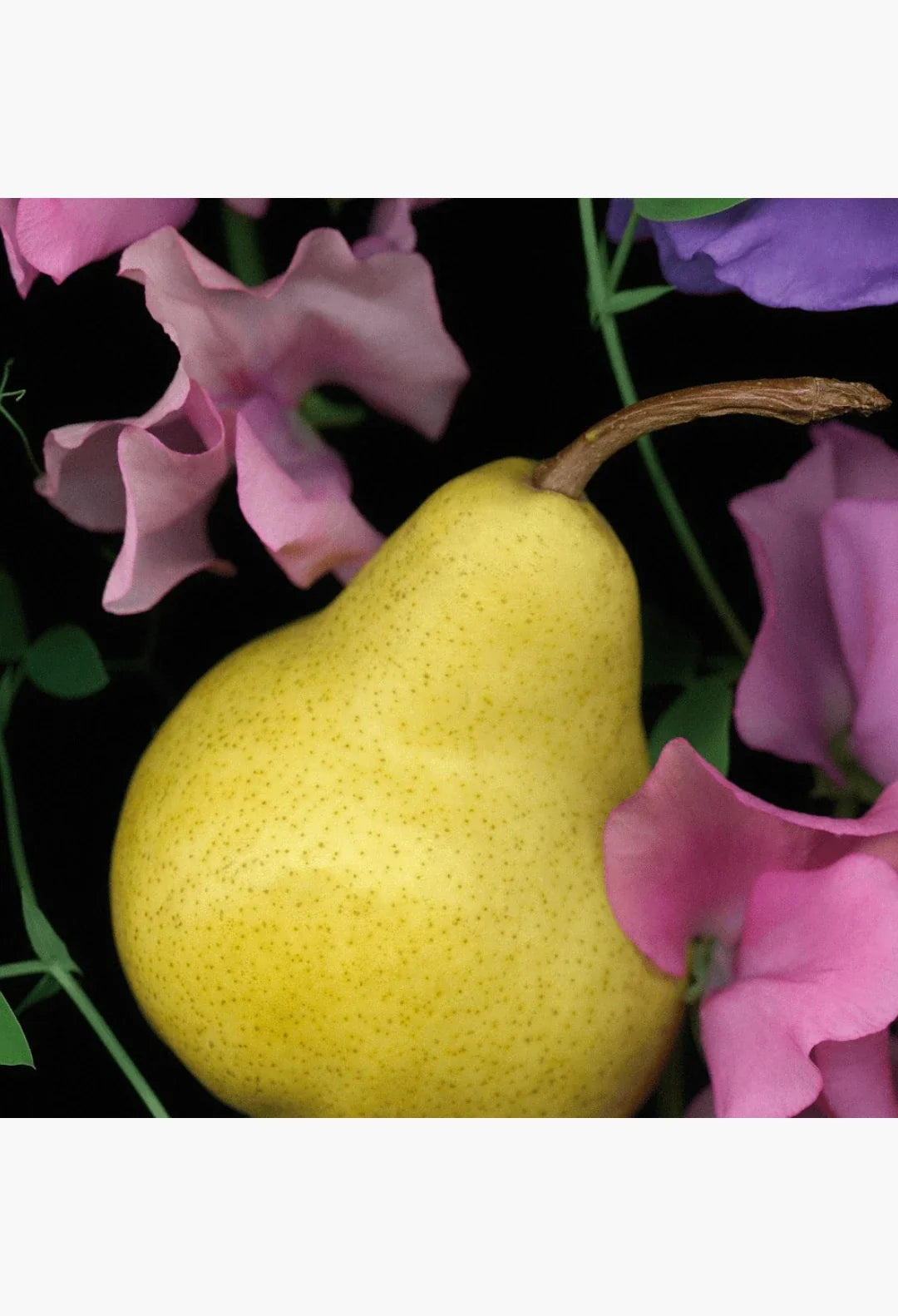 English Pear & Sweet Pea Cologne