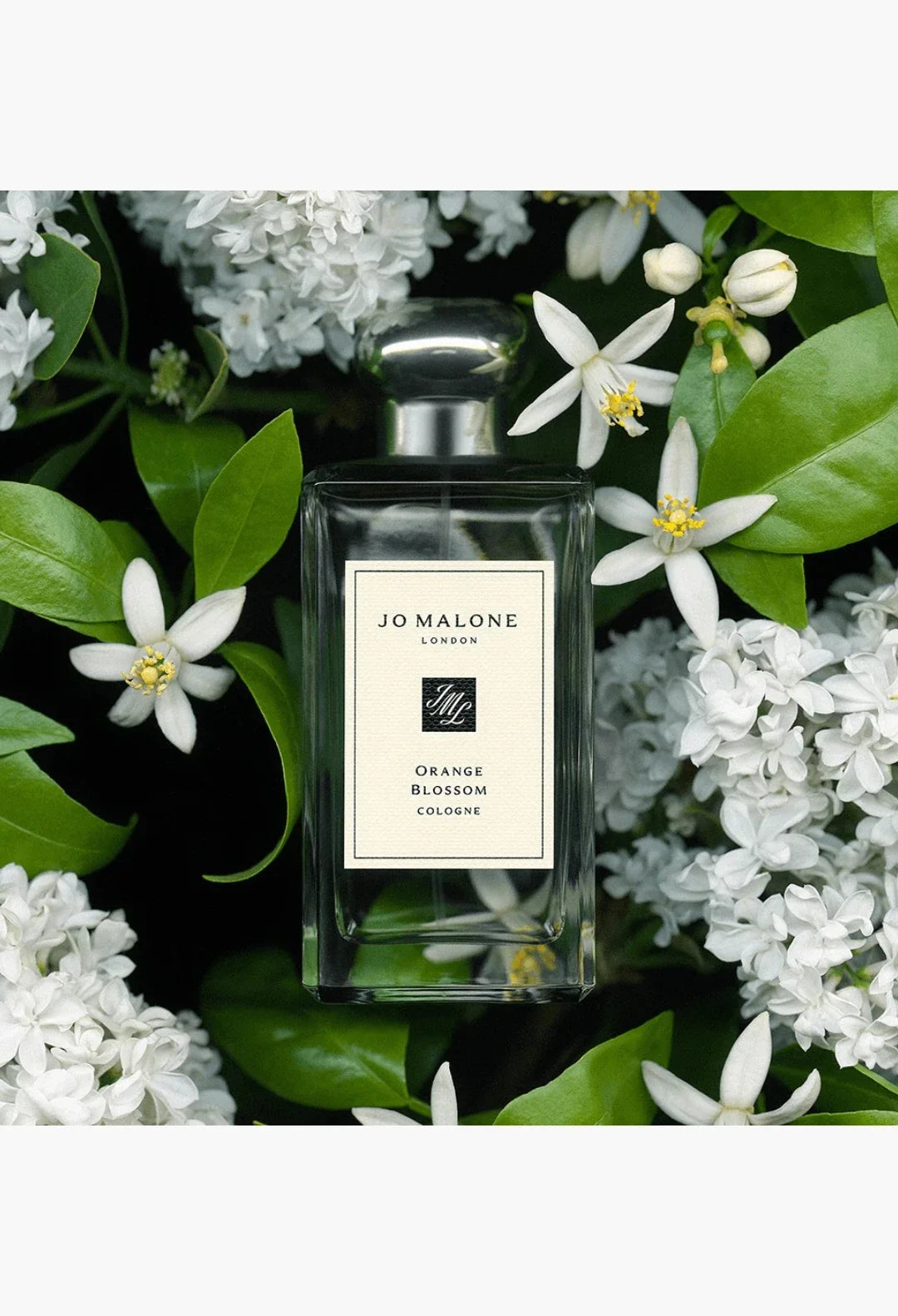 Orange Blossom Cologne