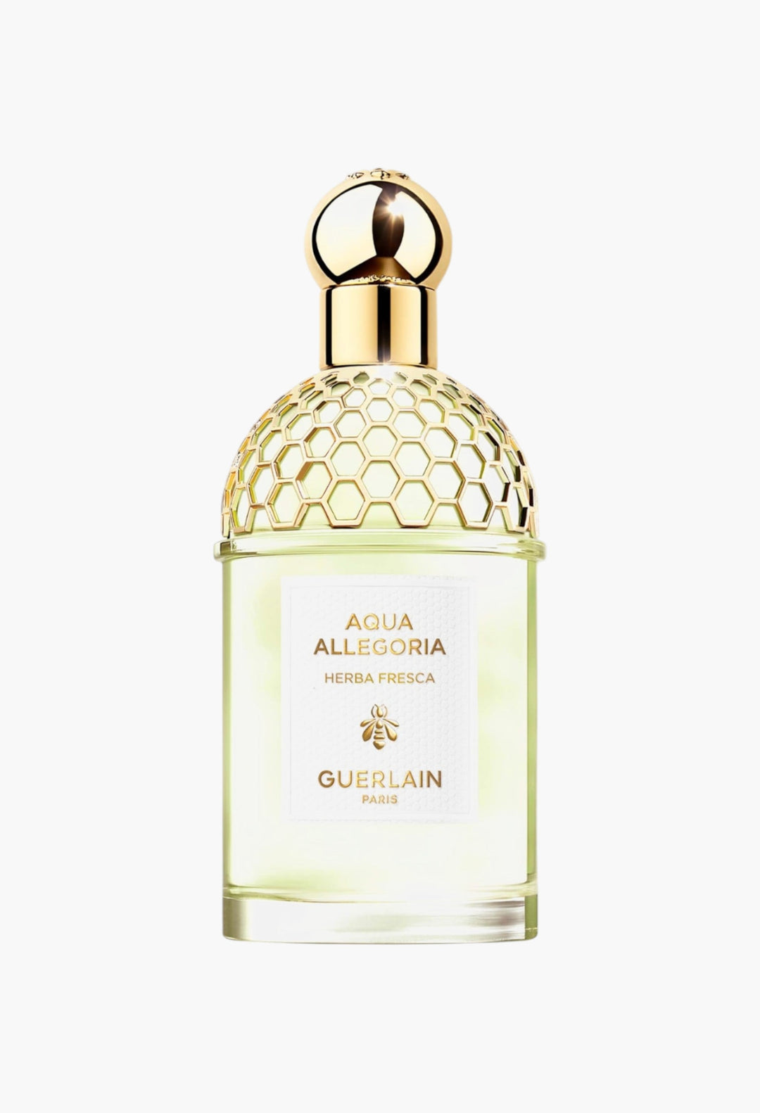 Aqua Allegoria  Herba Fresca - Eau De Toilette - GLAM MODA