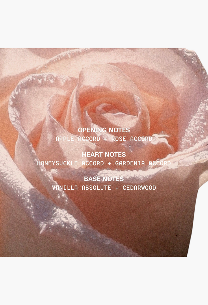 kylie-fragrance Blush Wood Eau De Parfum