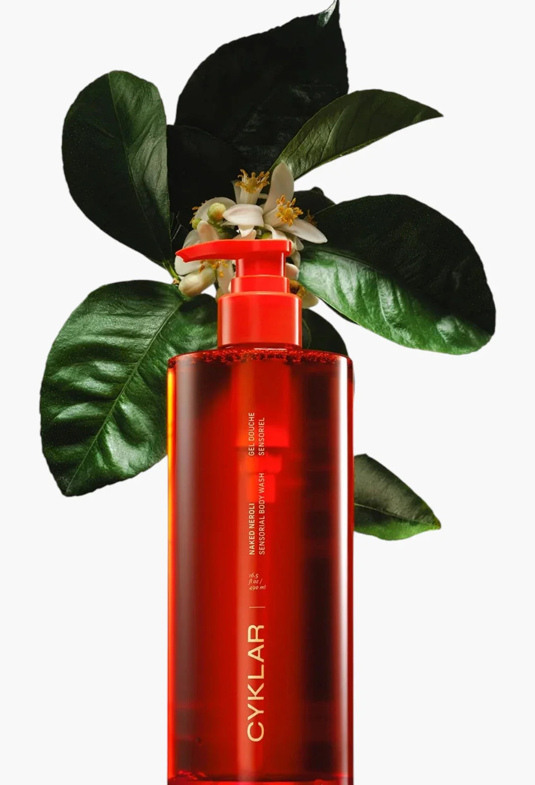 Sensorial Body Wash For Moisture Barrier.
