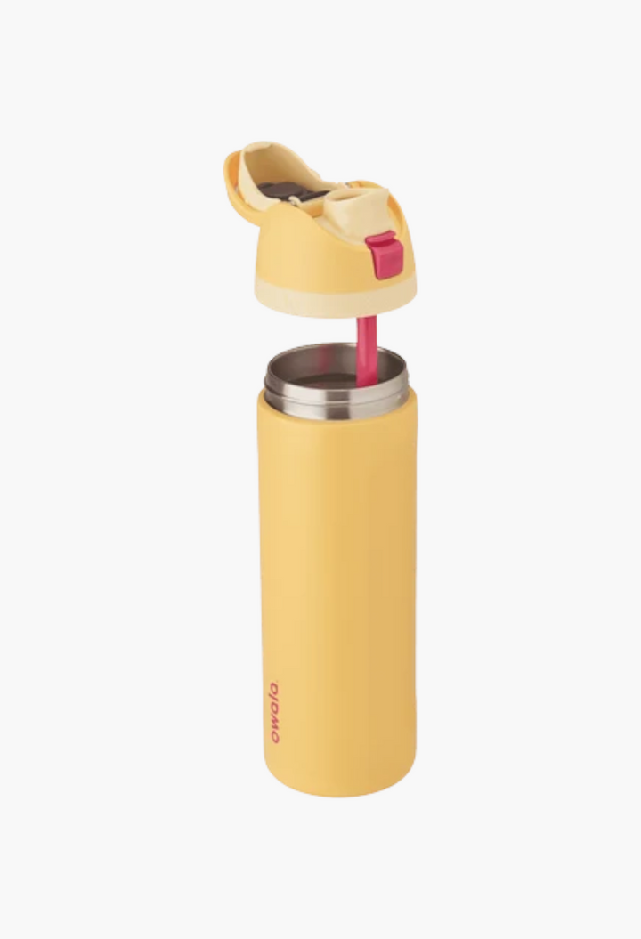 GLAM MODA Disney Princess Collection 24oz insulated stainless steel water bottle with open FreeSip straw lid