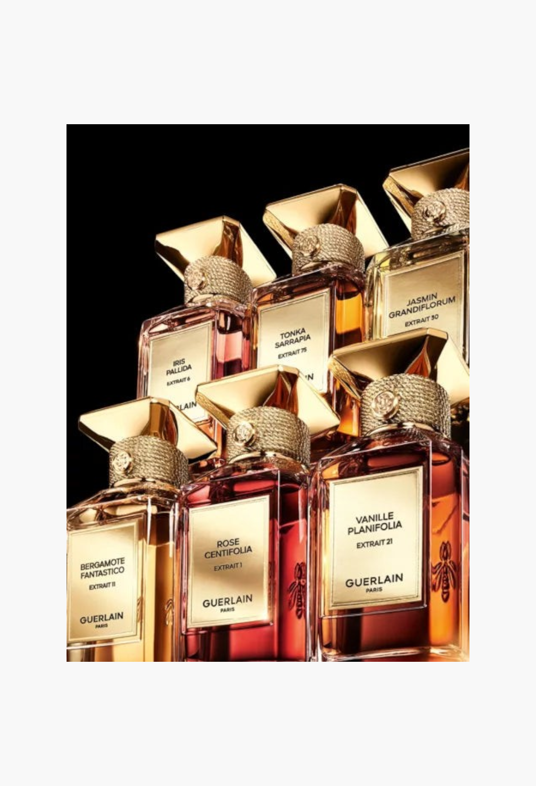 GLAM MODA collection of Guerlain L'Art & La Matière perfume extract bottles with gold caps and elegant glass labels