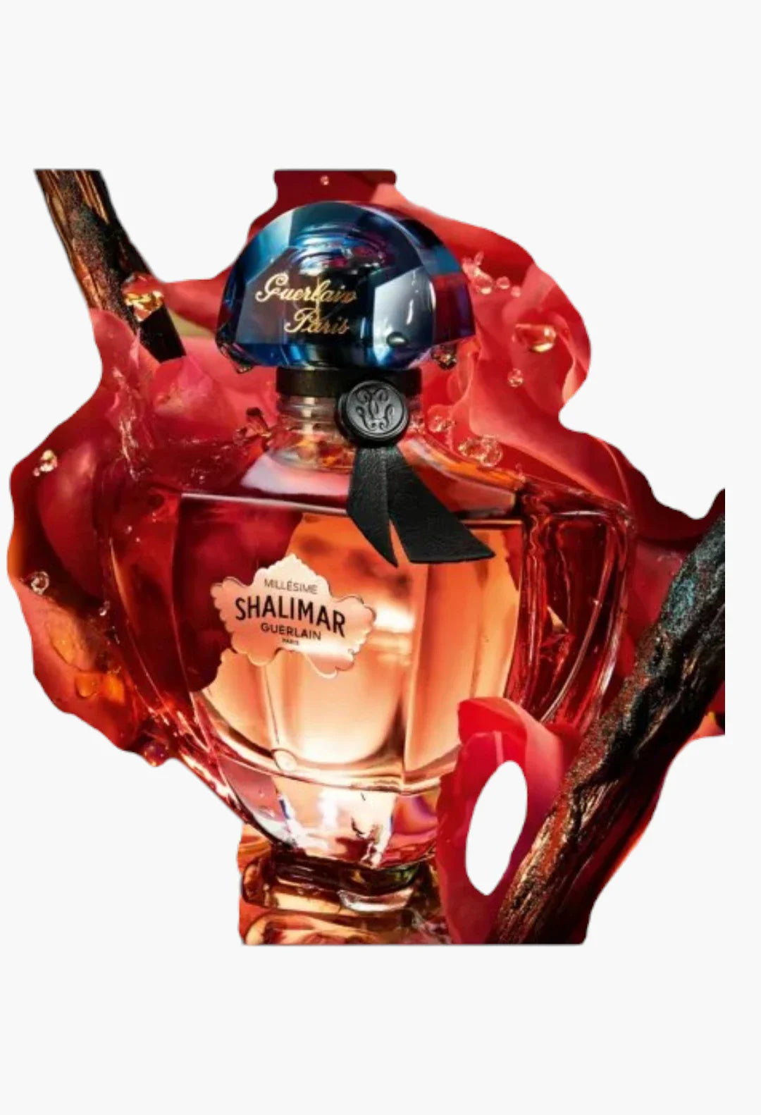Shalimar Millésime Rose Limited-Edition Eau de Parfum