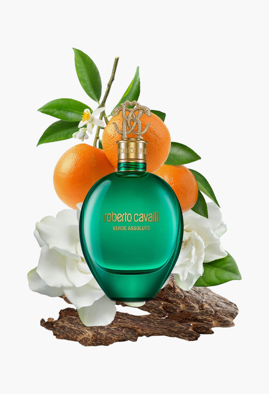 Verde Assoluto EDP - GLAM MODA