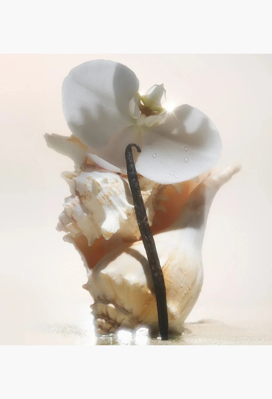 SALT WATER VANILLA SKIN REVIVING SERUM BODY WASH
