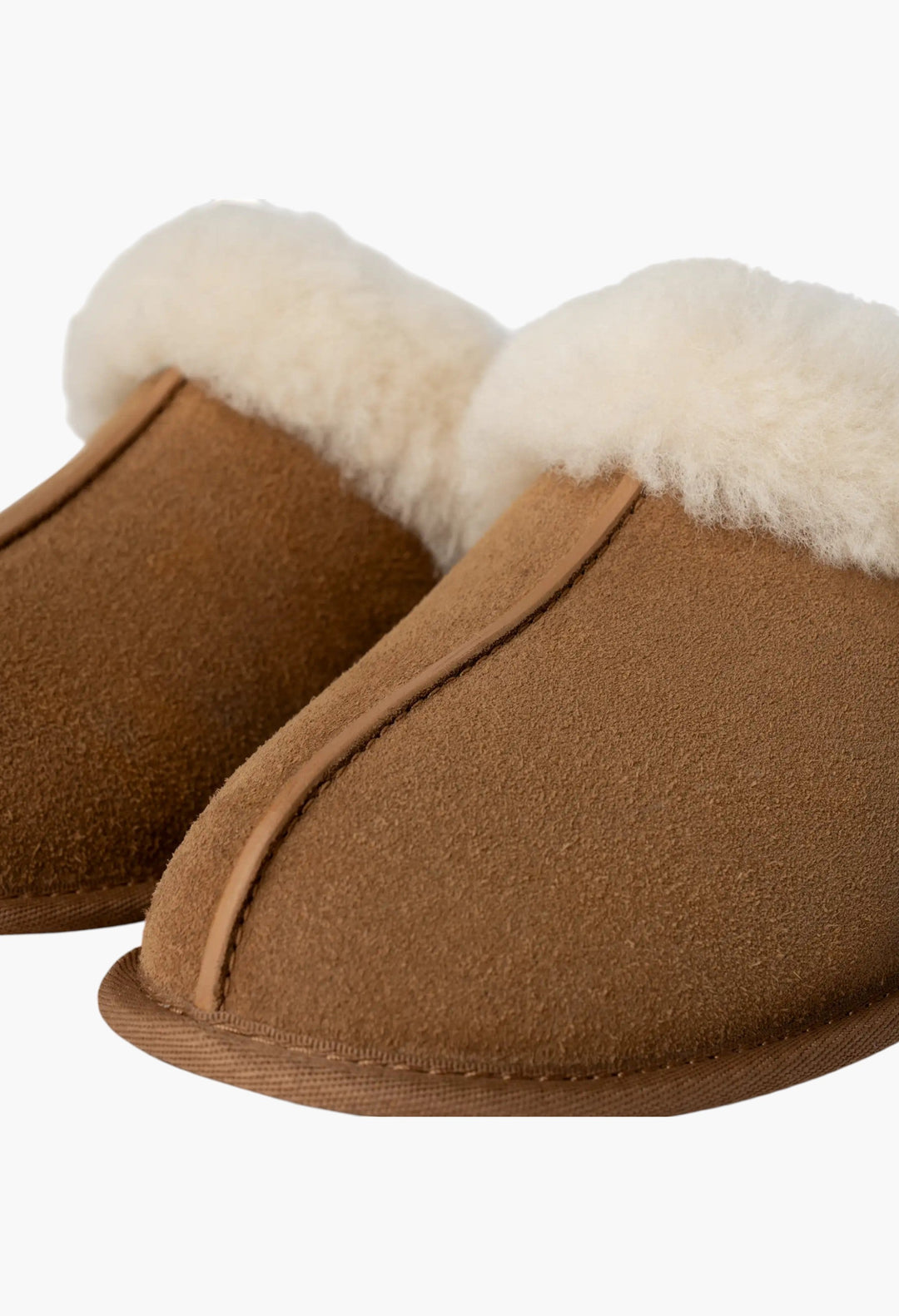 Women's Disquette - GLAM MODA