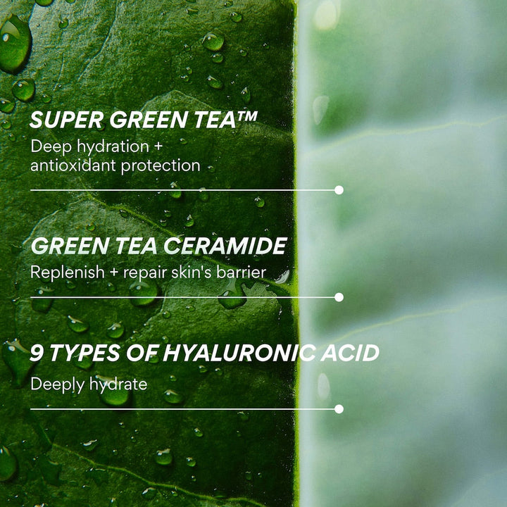 Green Tea Ceramide Milk Toner for Hydration & Barrier Repair - GLAM MODA