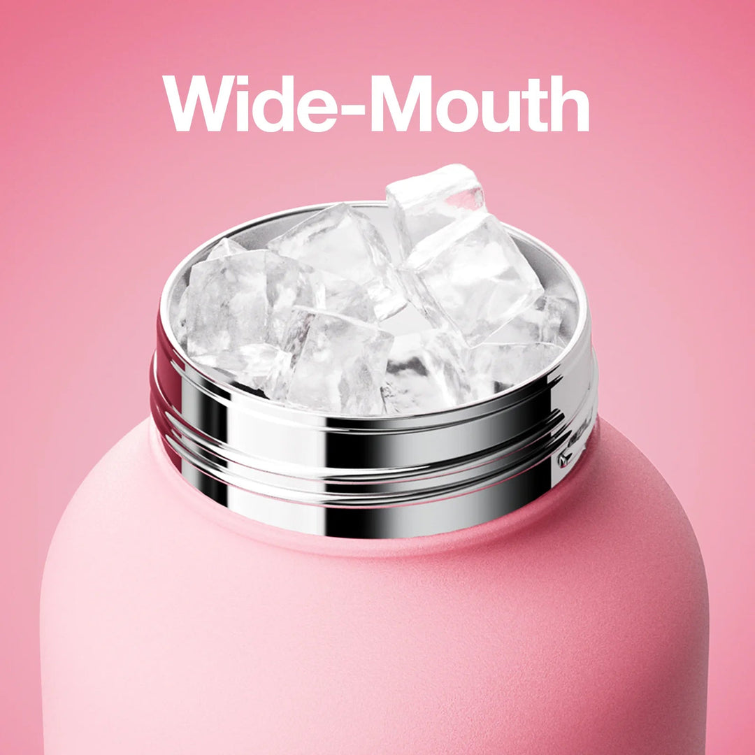 LinLin Kettle (New Pink) - GLAM MODA
