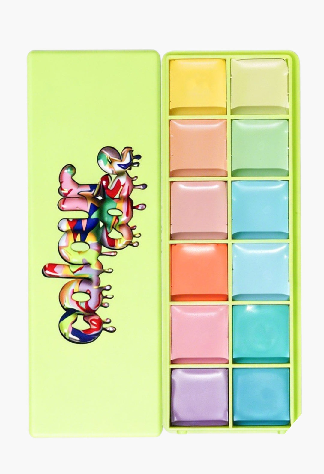 Colour Case Cosmetic Paint Palette