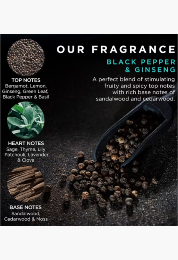 GLAM MODA infographic detailing Black Pepper and Ginseng fragrance notes with peppercorns and a wooden scoop