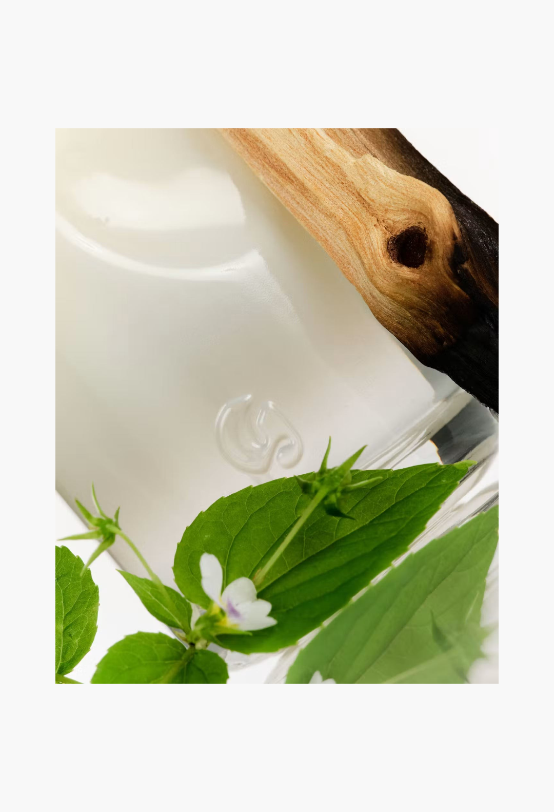 GLAM MODA Glossier You Doux perfume bottle detail with palo santo wood, fresh violet leaves, and embossed logo