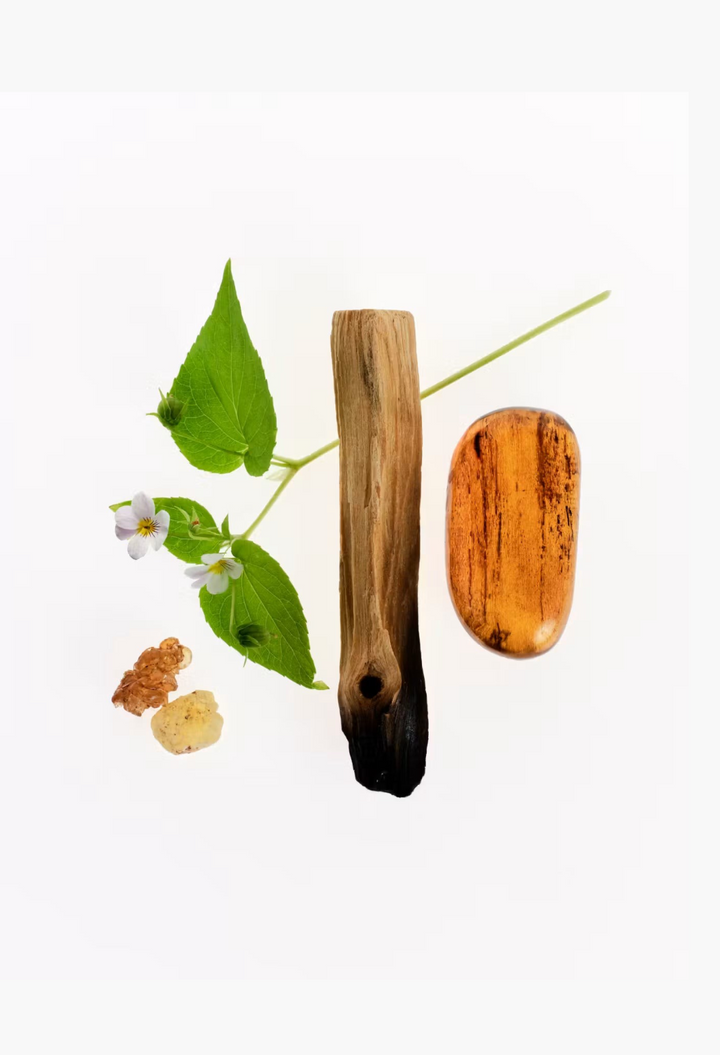 GLAM MODA Glossier You Doux fragrance ingredients including sweet violet, palo santo wood, frankincense, and myrrh.