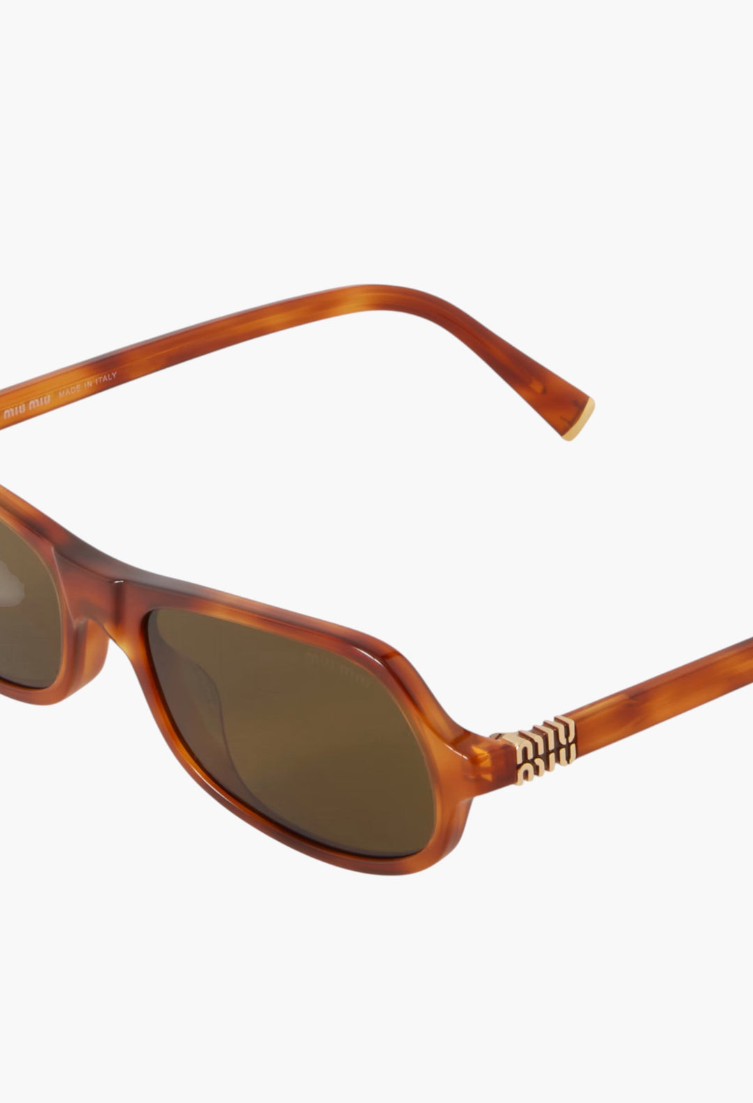 Round-Frame Acetate Sunglasses - GLAM MODA