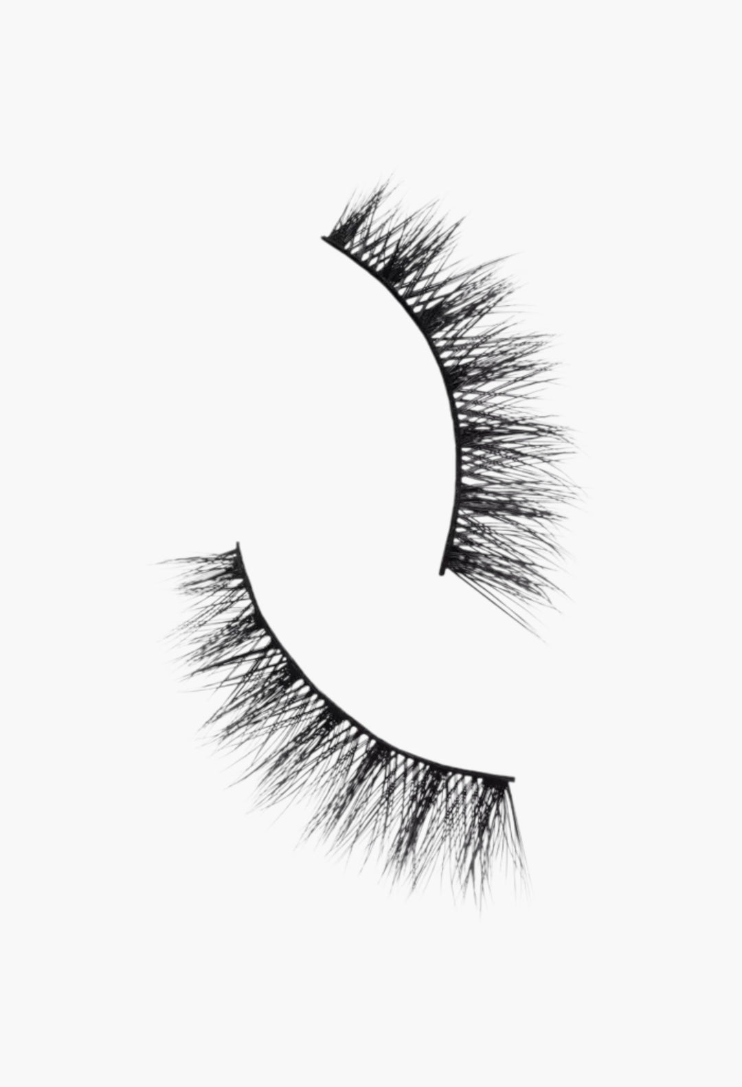 True Or False Lashes - GLAM MODA