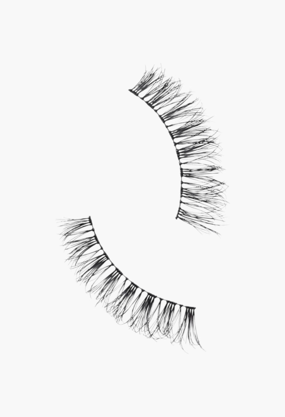 True Or False Lashes - GLAM MODA