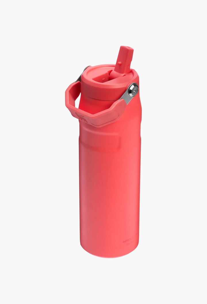 The IceFlow™ Bottle with Flip Straw Lid | 24 OZ - GLAM MODA