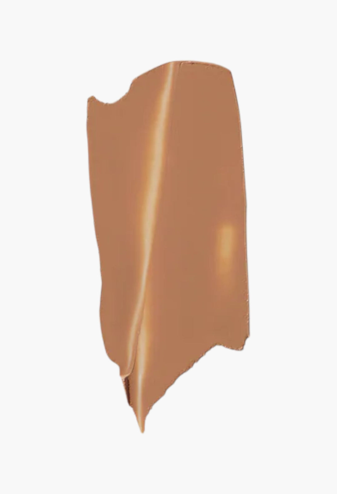 The Minimalist Perfecting Complexion Foundation and Concealer Stick - GLAM MODA