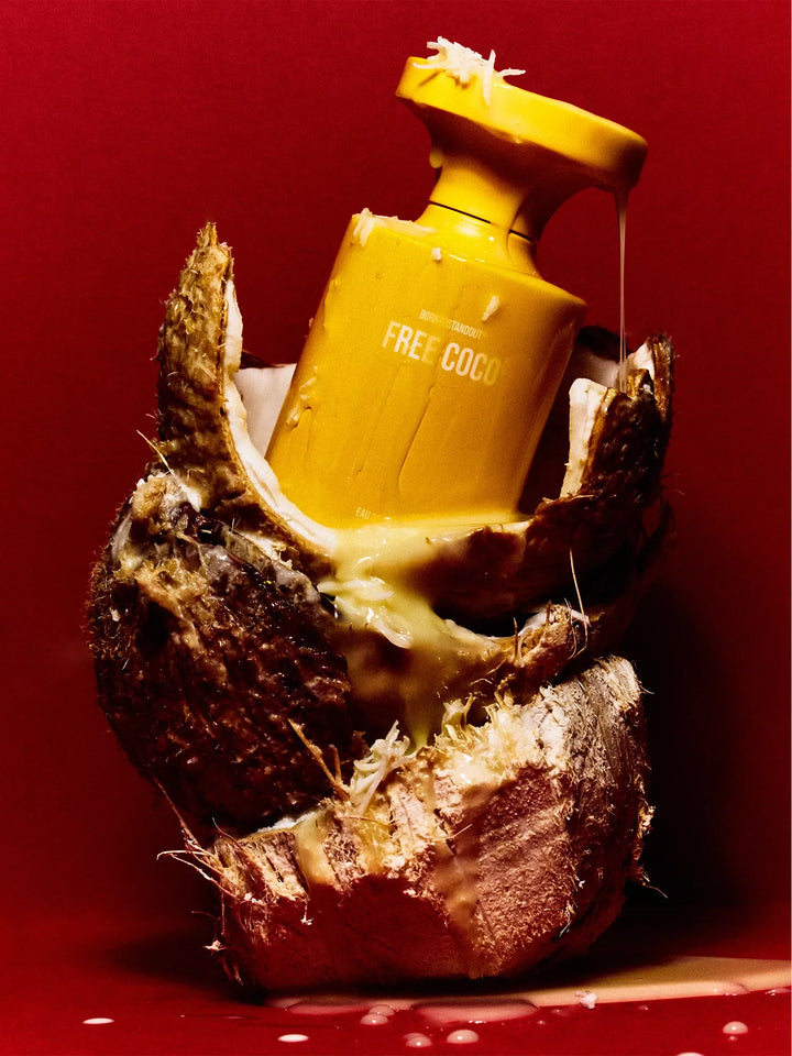 Free Coco Eau de Parfum - GLAM MODA